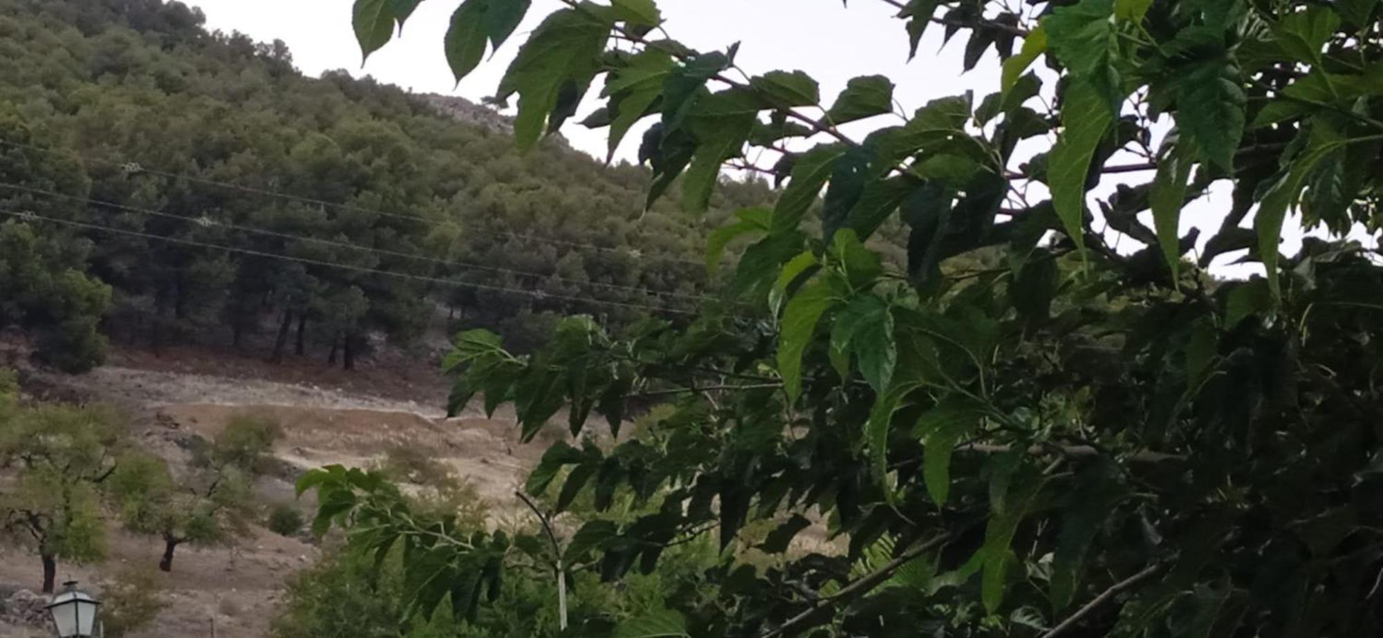 Pegalajar Casa Cueva El Almendro 게스트하우스 외부 사진